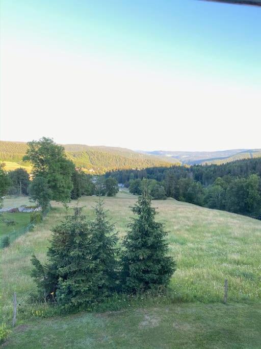 Appartement Lumineux Avec Vue Sur Les Montagnes Morbier Extérieur photo